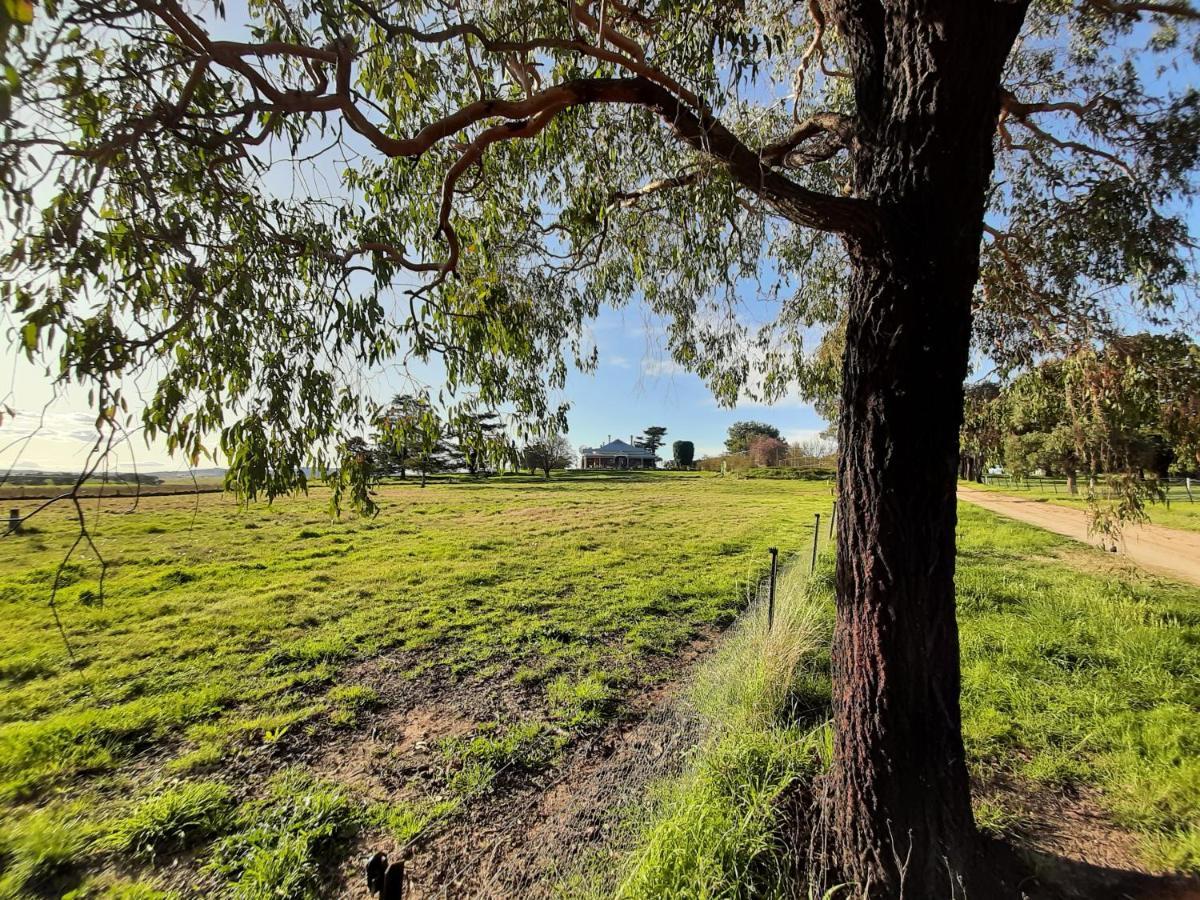 Alloway Bank Bathurst Exterior foto